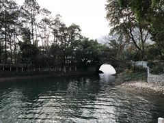 -广州市流溪河国家森林公园