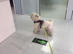 -纳吉亚猫专科动物诊疗中心(蒋宅口分院)