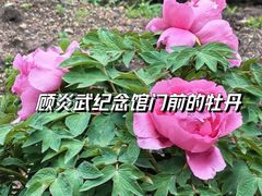 -乡亲鹅肉城(昆山店)