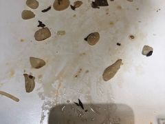 -云海肴·汽锅鸡·云南菜(东坝金隅店)