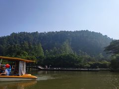 -大湾区中央湿地公园