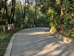 -广州市白云山风景名胜区