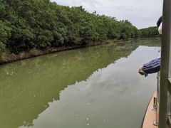 -大湾区中央湿地公园