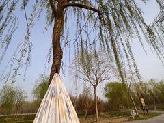 -西青郊野公园