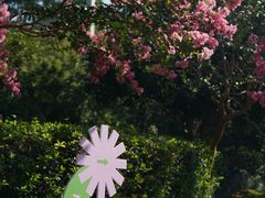 -杭州城北体育公园