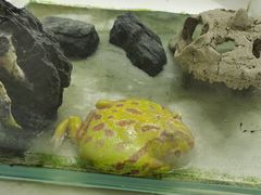 -海合安武汉极地海洋公园
