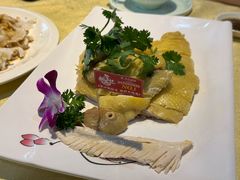 -新高记·粤菜·湛江鸡(南头古城店)