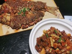 -三强鸽子(中原路店)