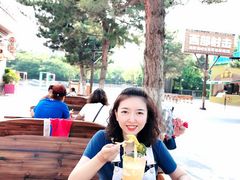 -沈阳方特欢乐世界