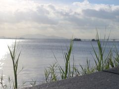 -芒洲湿地公园