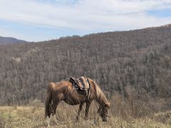 -灵山