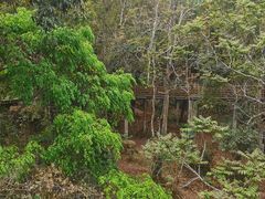 -野象谷景区
