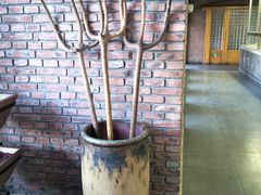 -食家鸽园