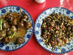 田螺酿-生态苑农庄(十里画廊遇龙河店)