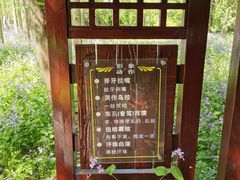 -东平国家森林公园