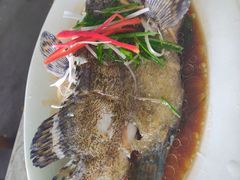 -四川小胡子海鲜(丁村万人海鲜广场店)