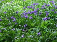 android_upload_pic-南馆公园