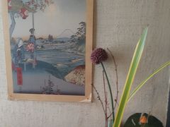 -芥岛(河北大街店)