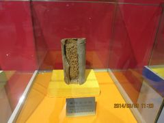 IMG_2854-上海昆虫博物馆