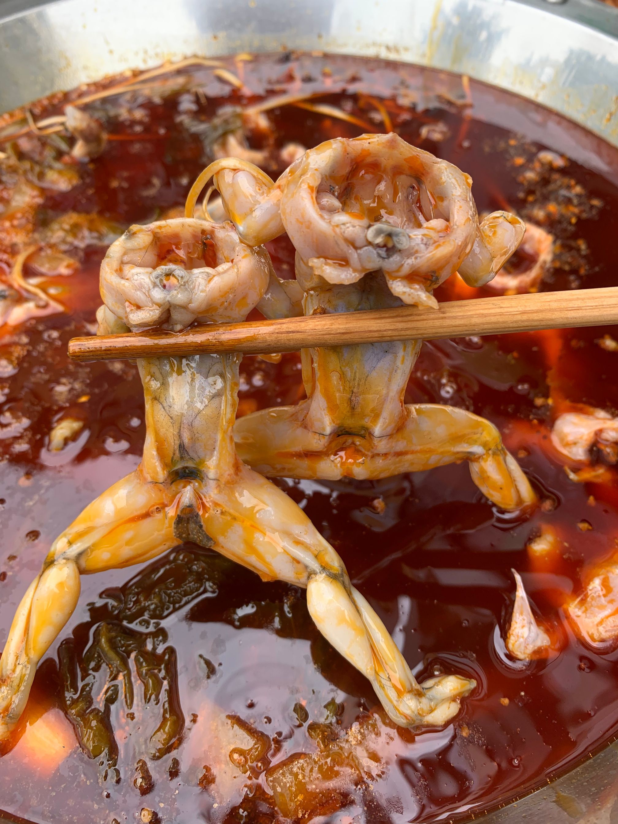 新鲜活蛙入口的那一秒,真的只有一个字:好吃!口感太好了,新鲜,嫩爽滑