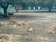 -西安秦岭野生动物园