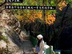 -少华山国家森林公园