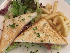 -Fern Forest Cafe