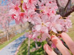 -福建鲤鱼洲酒店