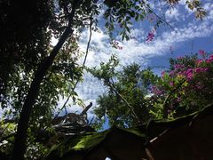 -疯狂屋