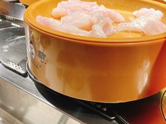 -龍歌自助小火锅(崂山丽达店)