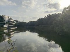 -深圳国际园林花卉博览园