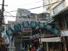 -猫咪博物馆(顶澳仔猫街店)