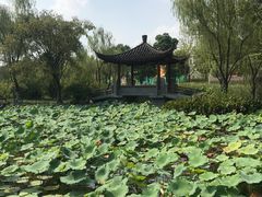 -武汉园博园(武汉自然博物馆)