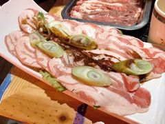 京葱羊腹肉-京炭铜锅涮肉·羊蝎子·羊肉炉(保利·时光里店)
