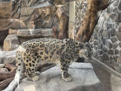 -青藏高原野生动物园