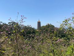 -白云山风景名胜区