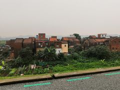 -三水森林公园