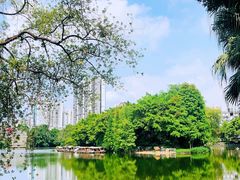 -荔湾湖公园