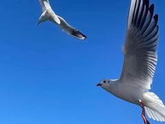 -丽江泸沽湖景区