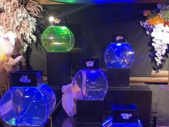 -海合安青岛极地海洋公园