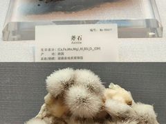 -湖南省地质博物馆