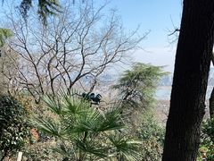 -龟山风景区-龟山电视塔