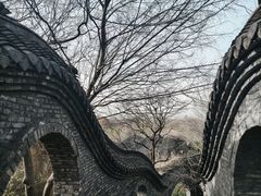 -朴园