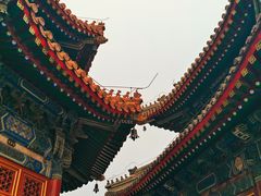 -北京艺术博物馆(万寿寺)