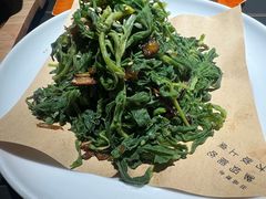 -三强鸽子(中原路店)
