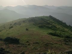 -大姆山草场