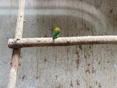 -昆明动物园