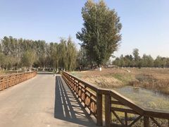 -东郊湿地公园