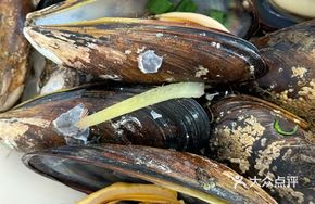 Saltwater Fresh Mussels