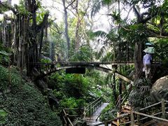 -青青世界